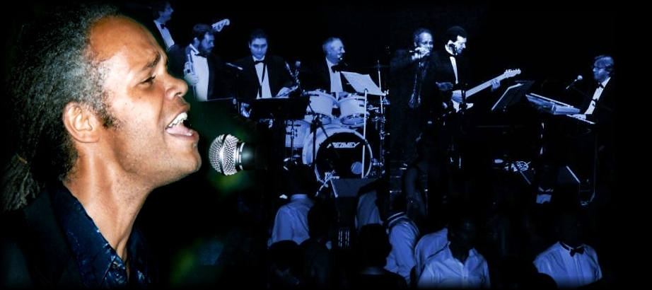 <b>Function Band</b> - 7-piece Rhythm & Blues, Rock & Roll, Pop function band to play for dancing in a more party-like atmosphere to finish off a wonderful evening. 